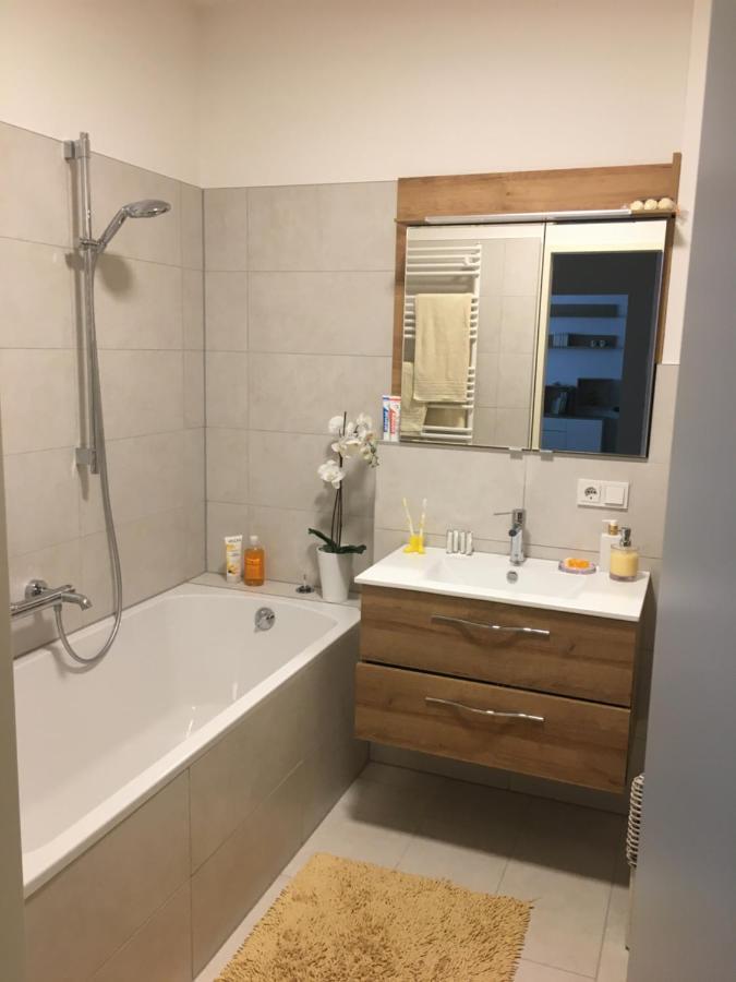 Ferienwohnung Danubia Linz Eksteriør billede